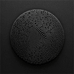 fingerprint pattern